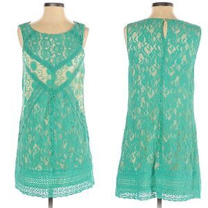 Anthro Champagne and Strawberry Lace Dress Floral Blue Shift Summer Size S